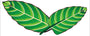 www.kratom-king.de